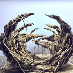 Aquarium Decor,Aquascaping Decor, House for Fish and Shrimp,Fish Tank decor, Shrimp Tank Decor (Does&#39;t include moss)