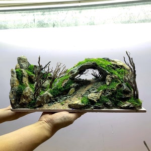 Aquarium Decor, Mountain cave Layout ,Aquarium decoration, House for Fish and Shrimp,Fish Tank decor ( option artificial moss)