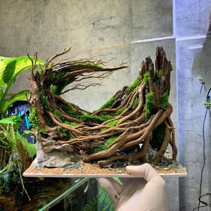 Natural Aquarium Decor,Aquarium decoration, House for Fish and Shrimp,Fish Tank decor, Shrimp Tank Decor