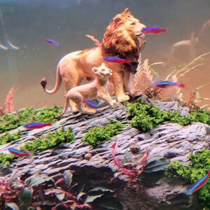 Custom Aquarium Decor Etsy