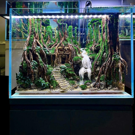 Aquascaping for Display Aquariums: Stunning Designs to Inspire