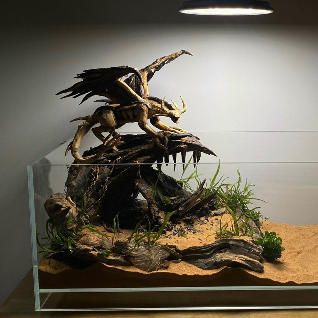 Dragon Aquarium Decor: Wood Root Fish Tank Ornament - Etsy