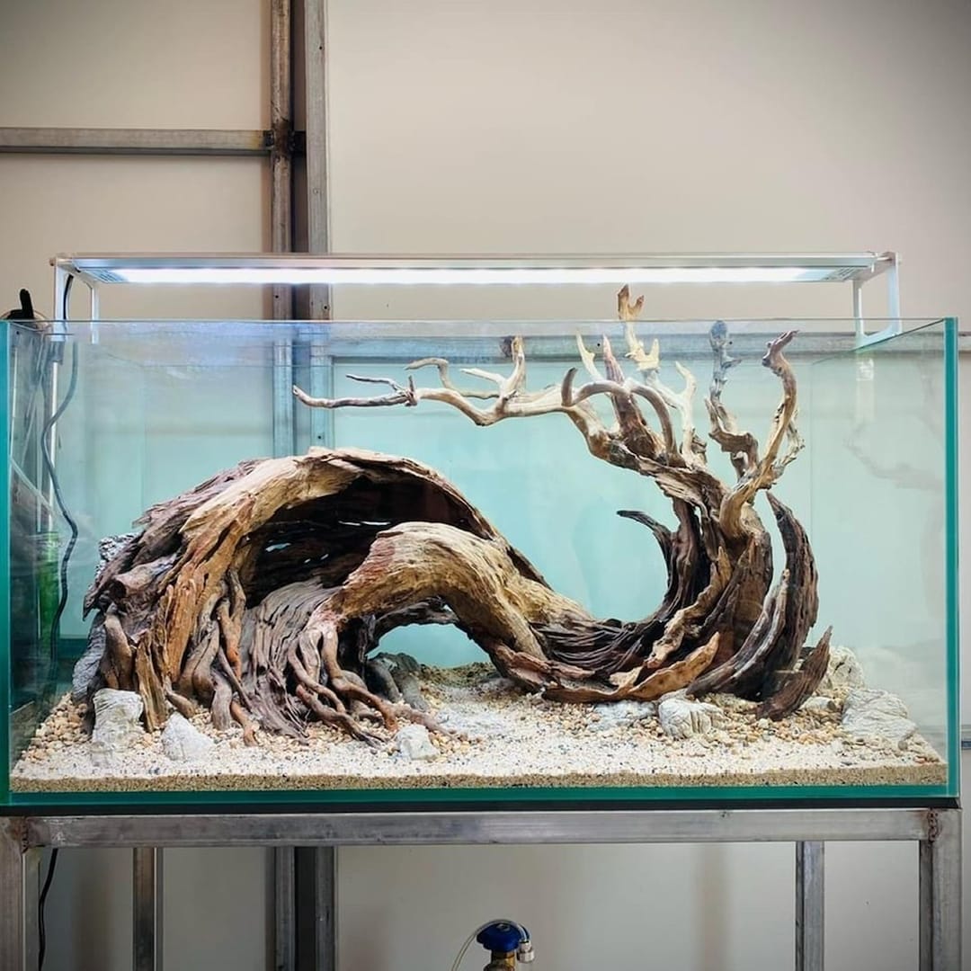 流木水槽装飾：手作りの魚とエビの水槽ハウス - Etsy 日本