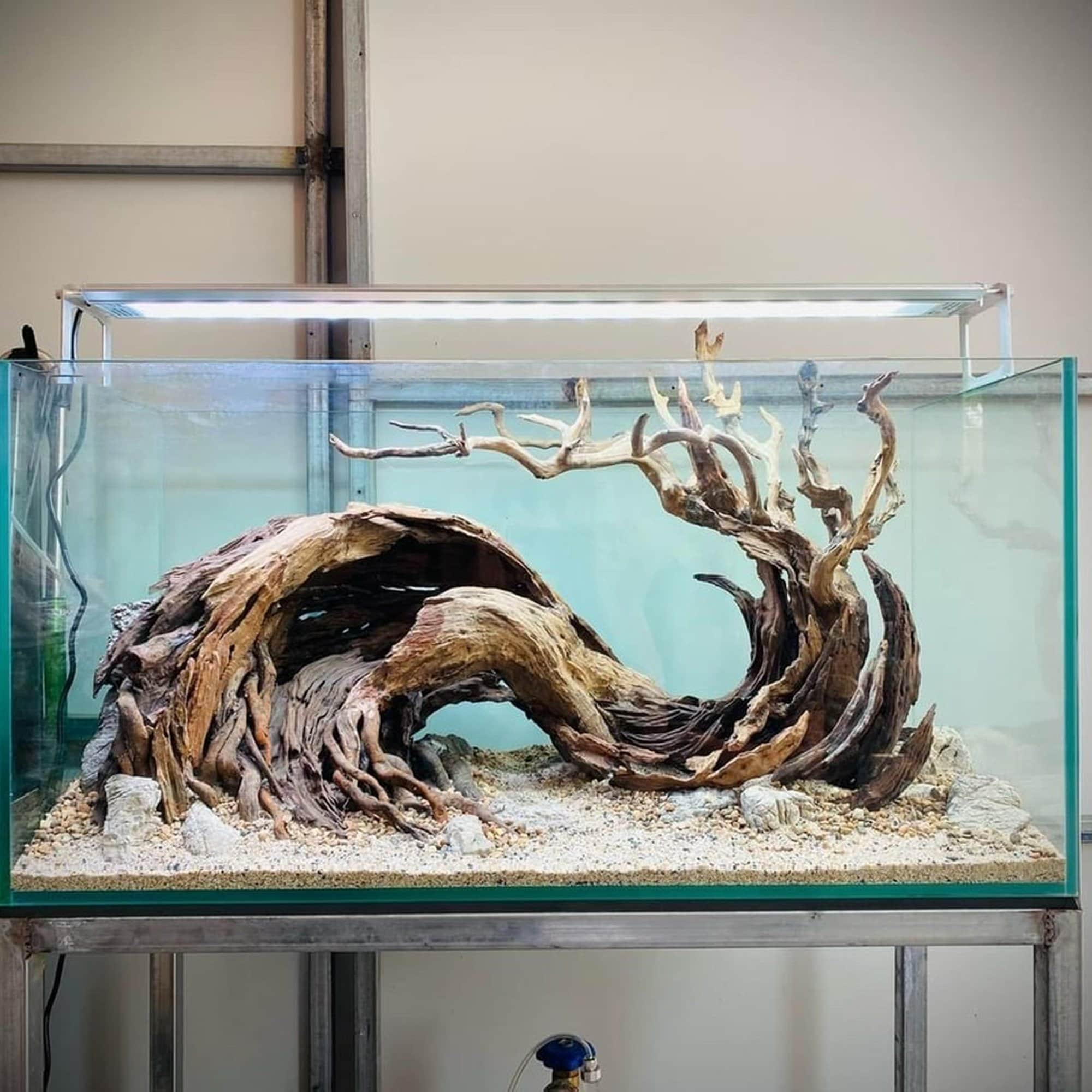 Mangrove aquarium decoration hotsell