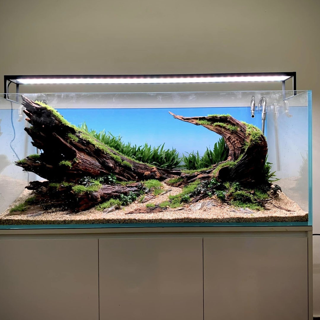 Handcrafted Aquarium Aquascape: Natural Driftwood Fish Tank Decor - Etsy