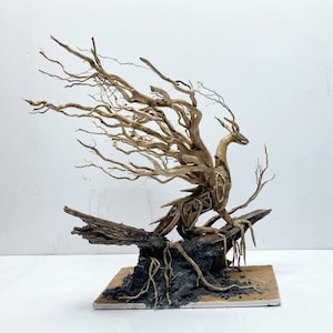 Aquarium Decoration Unique,Home Decor, Legendary Dragon Decor,Aquarium Decor,Office Decor Shrimp,Fish Tank decor, Shrimp Tank Decor