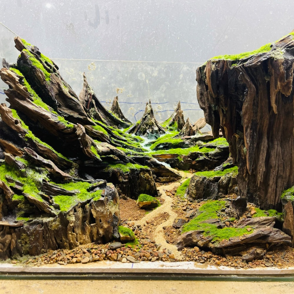 流木アクアスケープ：自然水草水槽装飾 - Etsy 日本