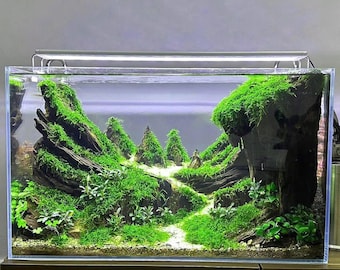 TTD 99水槽。水生植物。 水槽用流木 。流木 アクアリウム TTD 99 サンプル製品セット。水槽 。流木 。 水族館。 水生植物