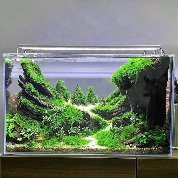 流木 インテリアやアクアリウムにオススメ アクアリウムの流木特集！水槽レイアウトにおすすめの種類を解説