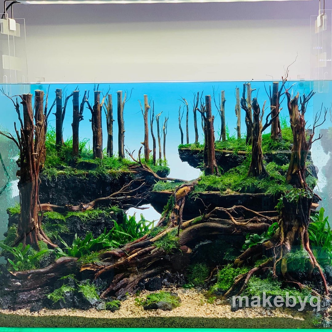 Driftwood Aquascape: Jungle Aquarium Decor, Custom Size
