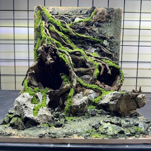Aquascape Cave for Pet,Aquarium decoration, House for Fish and Shrimp,Fish Tank decor, Shrimp Tank Decor