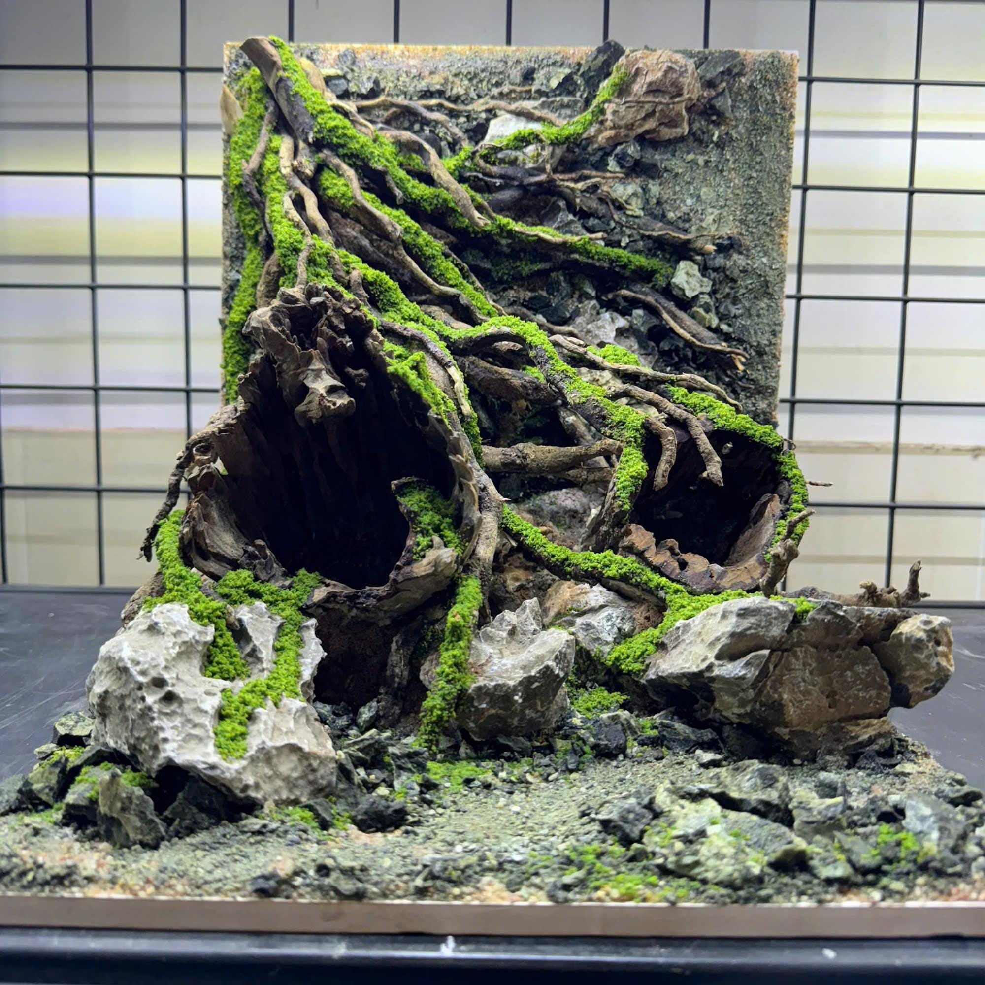 Aquascape Decor New Zealand