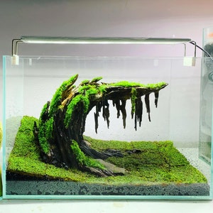 Aquascaping Decor -  UK