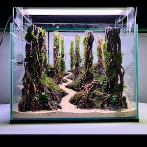 Natural Wood Aquascape Aquarium Cave: Fish & Shrimp Tank Decor