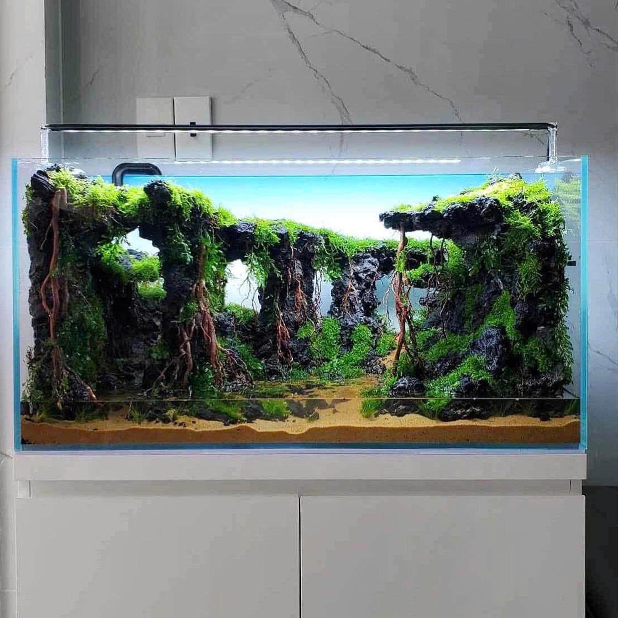 55 Gallon Tank - Etsy 55 Gallon Tank - Etsy