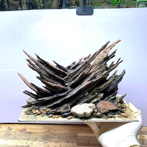 Natural Aquarium Decor,Aquarium decoration, House for Fish and Shrimp,Fish Tank decor, Shrimp Tank Decor