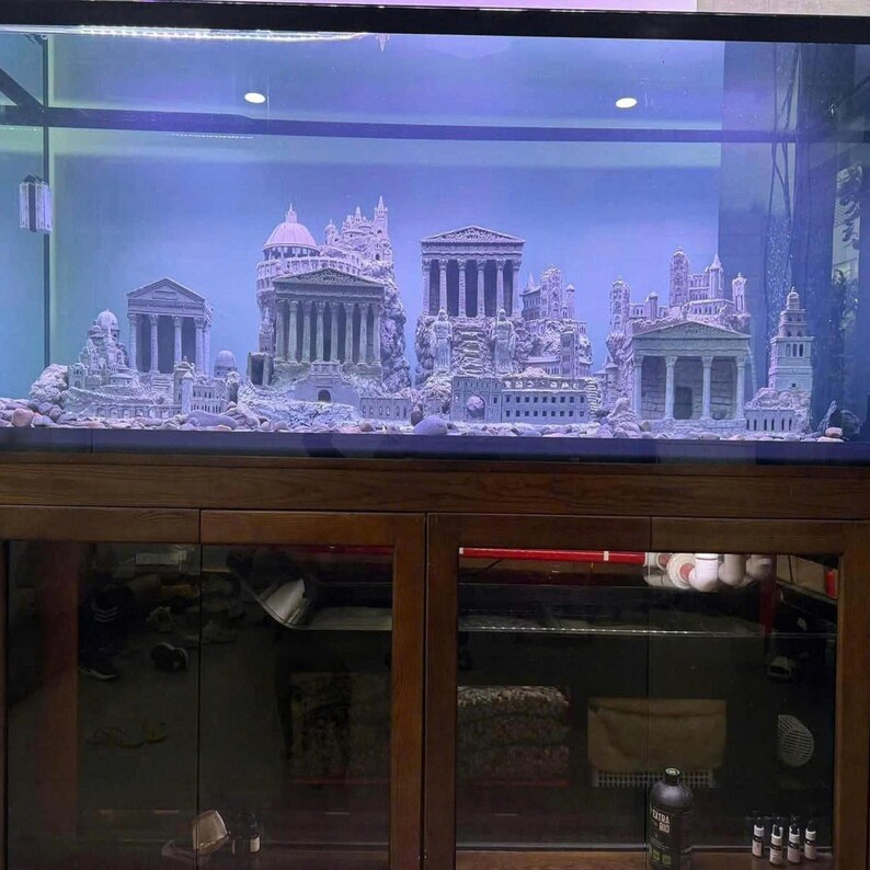 Image showcasing Handcrafted Aquarium Aquascape: Natural Driftwood Fish & Shrimp Habitat ...