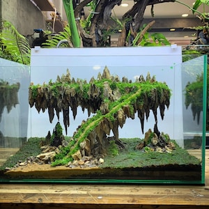 Aquarium Decor,Aquascape,Nature aquarium,Aquarium decoration, House for Fish and Shrimp,Fish Tank decor, Shrimp Tank Decor