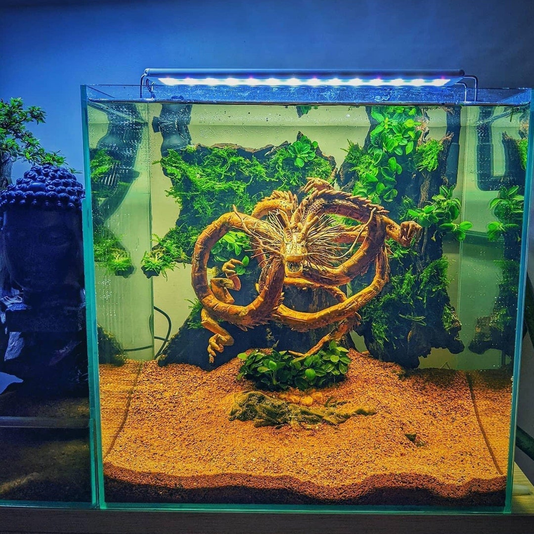 Dragon Aquarium Decor: Forest Root Fish & Shrimp Tank Ornament - Etsy