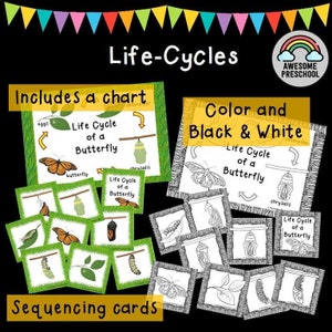 May include: A set of colorful and black and white sequencing cards for teaching children about the life cycle of a butterfly. The cards feature images of eggs, caterpillars, chrysalises, and butterflies. The set includes a chart with the life cycle stages labeled.