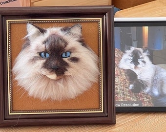 3D Wollfilz Haustierportrait | Personalisiertes Haustierportrait aus Wolle | Gedenkrahmen für Hunde und Katzen aus Wolle | Geschenk für Haustierliebhaber | Geschenk zum Verlust eines Haustiers