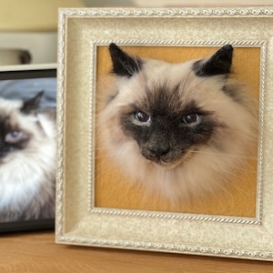 3D Wool Felt Pet Portrait | Personalized Wool Pet Portrait | Wool Dog / Cat Memorial Frame | Pet Lover Gift | Pet Loss Gift