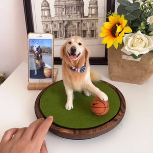 Réplica de perro personalizada / Peluche de fieltro para mascotas / Escultura de lana personalizada para mascotas / Regalo conmemorativo para mascotas / Regalo para amantes de las mascotas