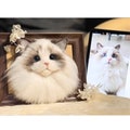 3D Wool Felt Pet Portrait | Personalized Wool Pet Portrait | Wool Dog / Cat Memorial Frame | Pet Lover Gift | Pet Loss Gift