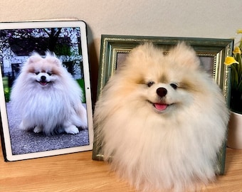 3D Wool Felt Pet Portrait | Personalized Wool Pet Portrait | Wool Dog / Cat Memorial Frame | Pet Lover Gift | Pet Loss Gift