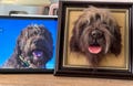 3D Wool Felt Pet Portrait | CUSTOM Wool Pet Portrait | Wool Dog / Cat Memorial Frame | Pet Lover Gift | Pet Loss Gift product logo