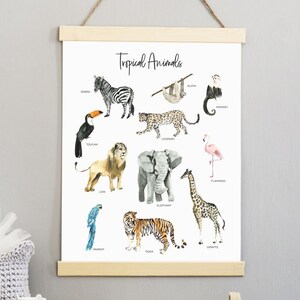 Póster Animales tropicales, decoración de la habitación de los niños, decoración de animales, aprender palabras, animlas nuevas, decoración de estudio, decoración de animales, decoración de pared, habitación acogedora