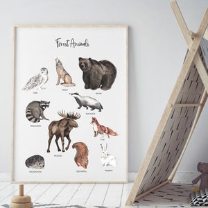 Póster Animales del bosque, decoración de estudio, nuevos nombres animales, decoración de estudio, aprender nuevas palabras, decoración de la habitación de los niños, decoración de la pared, animales