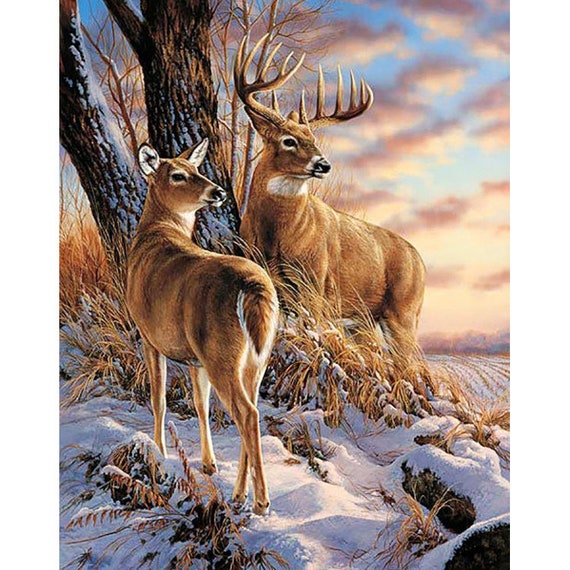 5D Deer Diamond Drawing Set for Adults and Children, Full Diamond
