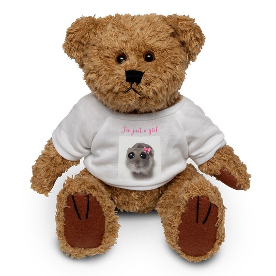 I'm Just A Girl Sad Hamster Teddy Bear Cute Funny Gift New Plushie