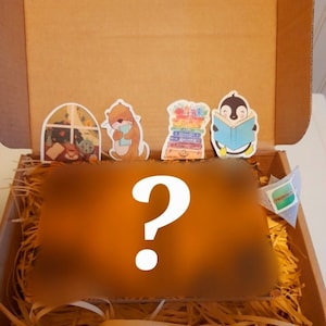 Mystery Box / Blind Date With A Book / Book Mystery Box / Gift Idea