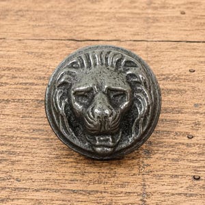 May include: A circular metal knob featuring a raised, three-dimensional lion head relief in the centre. The surface has a dark, weathered, gunmetal grey finish with a textured appearance, highlighting the detailed mane and facial features.