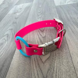 May include: A neon pink collar featuring a silver-toned metal side-release buckle and a bright blue circular ring attachment. The collar is constructed from a smooth, flexible material and includes a silver metal rivet securing the strap.