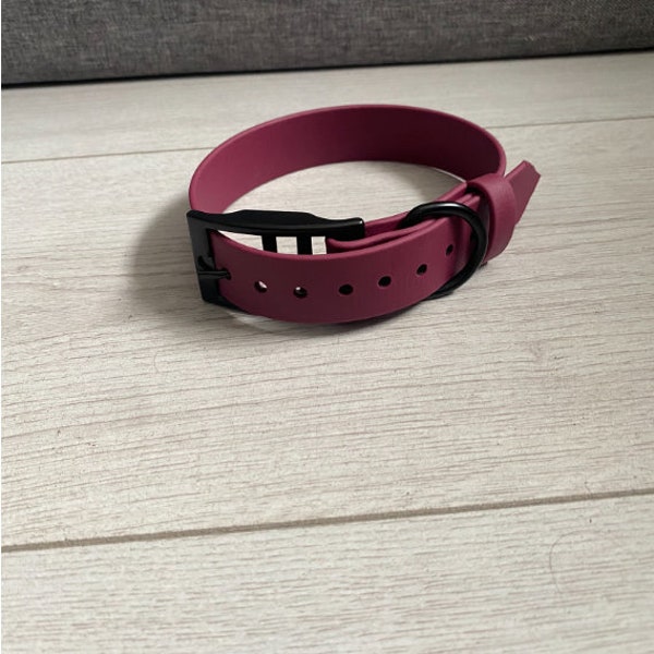 Biothane Buckle collar  25mm- Two Tone available