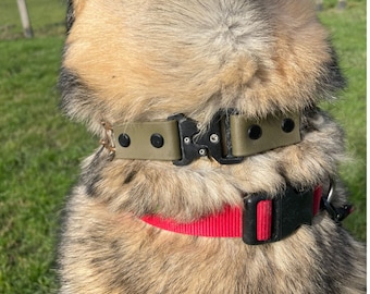 Prong collar buckle- Biothane 3.0\3.2