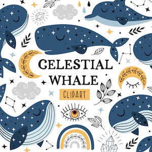 Hemelse clipart walvis clipart dolfijn clipart maan clipart narwal svg sterrenbeeld clipart Boho svg regenboog clipart kinderen clipart