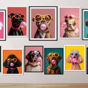 May include: A collection of framed dog portraits, each featuring a different breed wearing sunglasses and blowing a bubblegum bubble. The backgrounds are various solid colors, and the frames are black or white.
