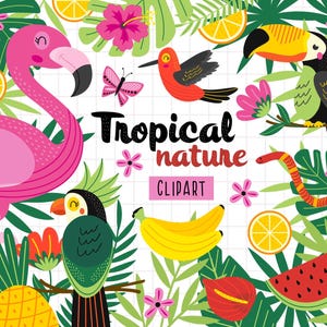 Puede incluir: Un colorido diseño de imágenes prediseñadas de naturaleza tropical con un flamenco rosa, un tucán, un loro, un colibrí y una serpiente. El diseño incluye flores tropicales, hojas, plátanos, sandía y rodajas de naranja. También se incluye el texto "Tropical nature clipart".