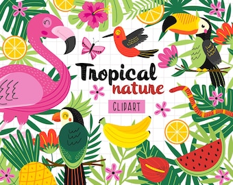 Tropical flowers and leaves clipart, Tropical plants PNG, Jungle clipart, Tropical animals SVG, Summer Clipart,Exotic Birds Clipart