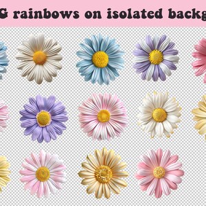 May include: 14 PNG images of rainbow colored daisies with white centers. The daisies are isolated on a transparent background.