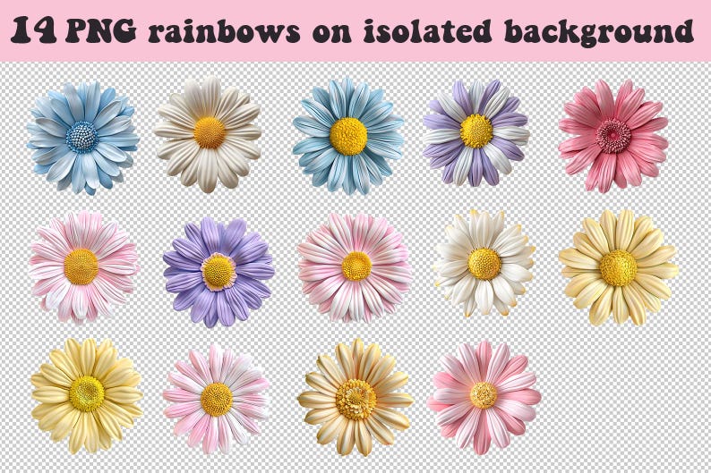 May include: 14 PNG images of rainbow colored daisies with white centers. The daisies are isolated on a transparent background.