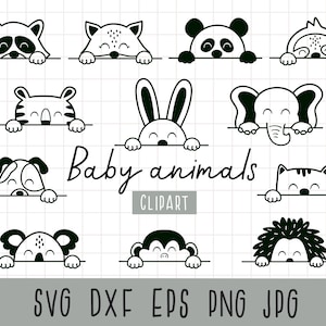 Tier Gesichter Clipart, Kopf Clipart, Rahmen Clipart, Border Clipart, Niedliche Tier Clipart, Fuchs svg, Bundle Clipart, Digital Sofort Download