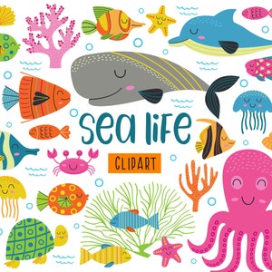 Imágenes prediseñadas de vida marina, imágenes prediseñadas del océano, imágenes prediseñadas de peces de arrecife de coral, imágenes prediseñadas de peces coloridos, imágenes prediseñadas de animales marinos PNG, ballena, pulpo, uso comercial