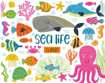 May include: Colorful sea life clipart featuring a whale, octopus, seahorse, jellyfish, starfish, crab, turtle, and fish. The text "sea life clipart" is written in the center of the image.