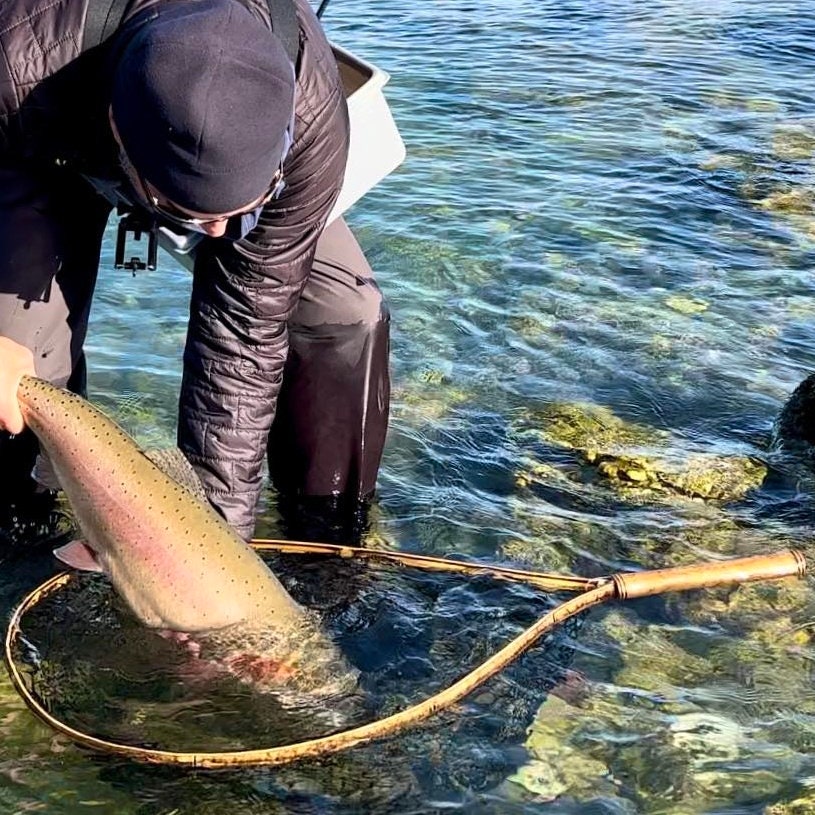 That's a Big Ol' Boat Net Fly Fishing Net Perfect for Guiding, Drift