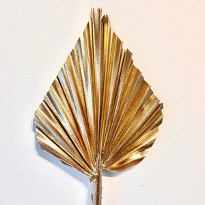 May include: A single gold palm leaf with a silver undertone. The leaf is dried and preserved, and has a natural, organic texture. It is perfect for adding a touch of tropical elegance to any space.